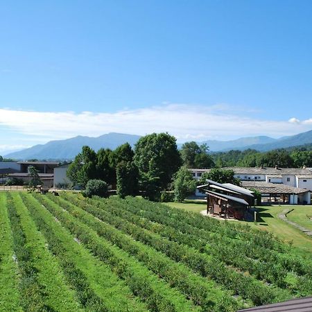 Agriturismo Il Frutto Permesso Bibiana エクステリア 写真