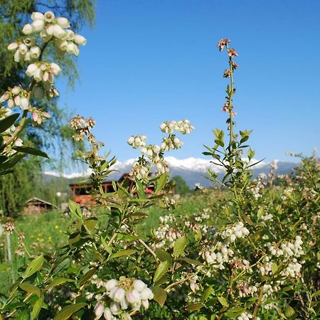 Agriturismo Il Frutto Permesso Bibiana エクステリア 写真