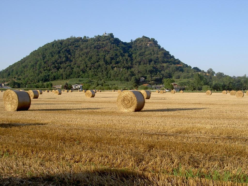 Agriturismo Il Frutto Permesso Bibiana エクステリア 写真