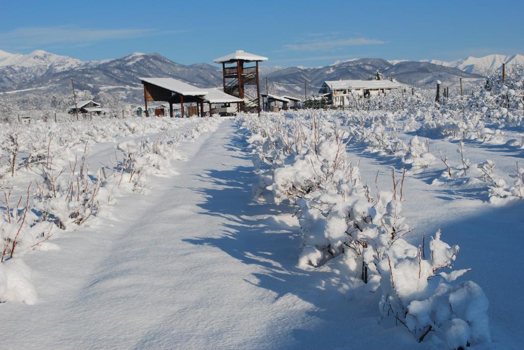 Agriturismo Il Frutto Permesso Bibiana エクステリア 写真
