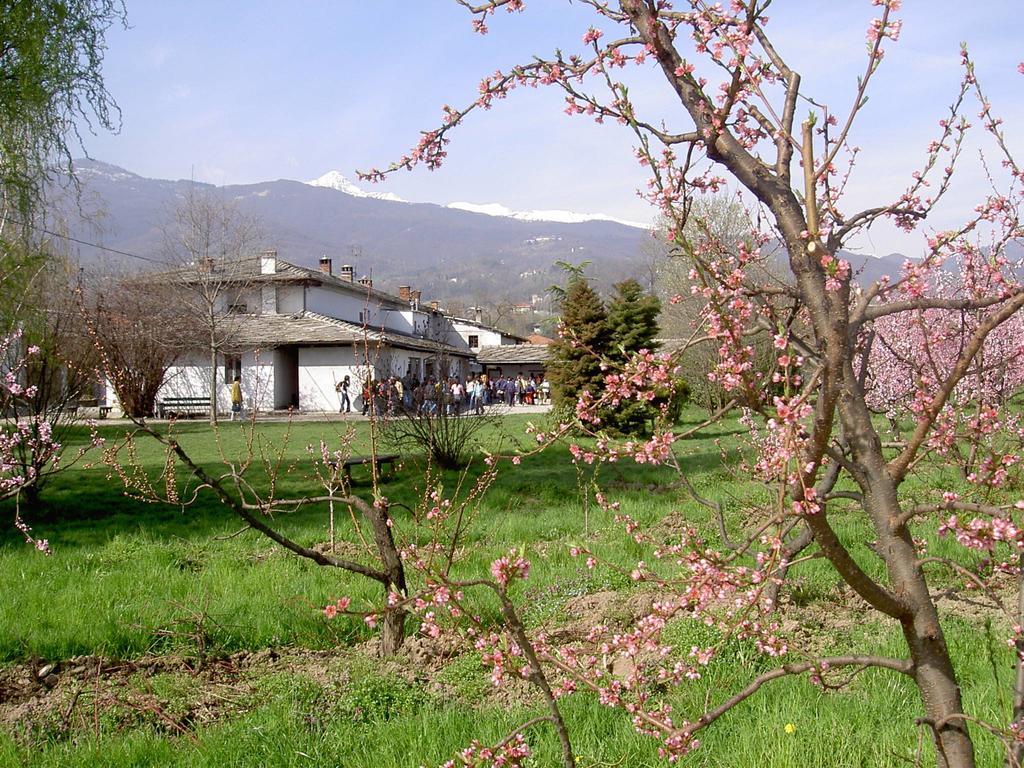 Agriturismo Il Frutto Permesso Bibiana エクステリア 写真