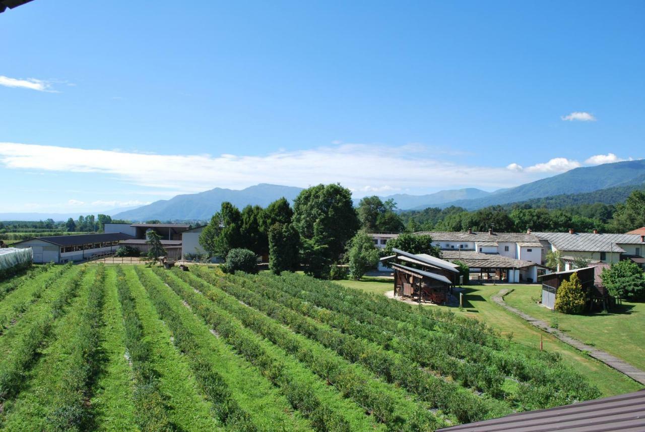 Agriturismo Il Frutto Permesso Bibiana エクステリア 写真