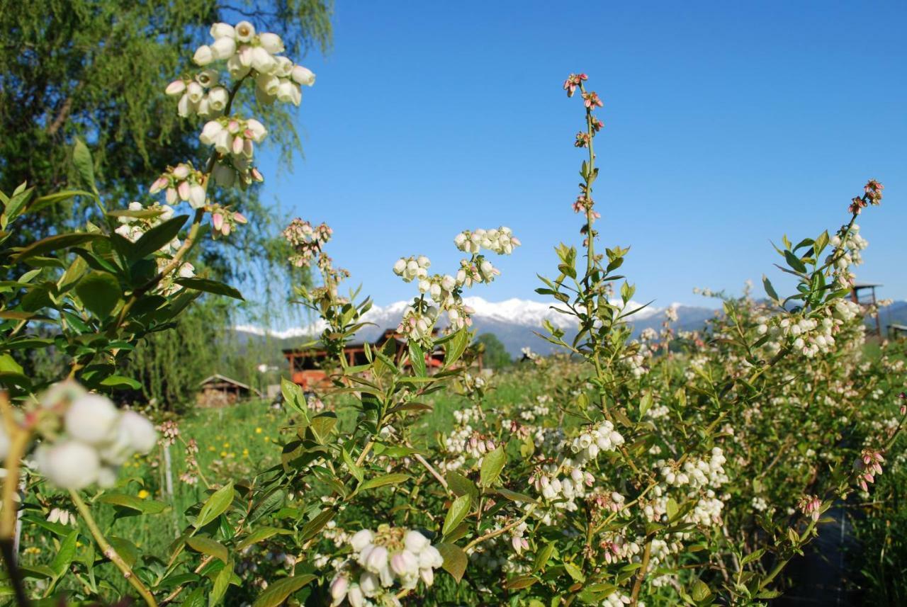 Agriturismo Il Frutto Permesso Bibiana エクステリア 写真
