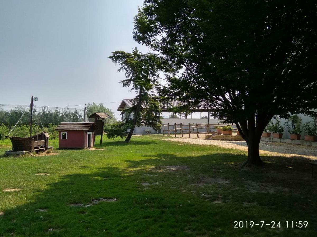 Agriturismo Il Frutto Permesso Bibiana エクステリア 写真
