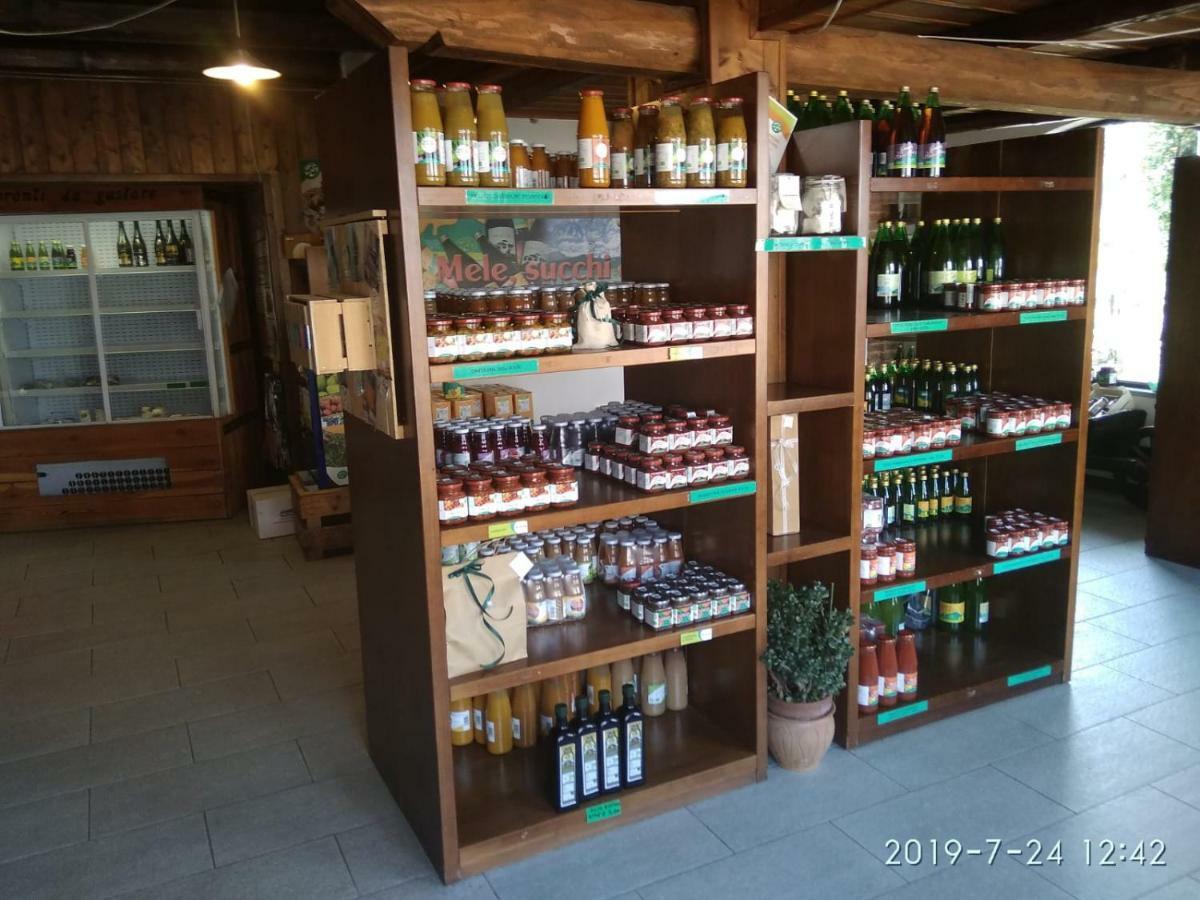 Agriturismo Il Frutto Permesso Bibiana エクステリア 写真